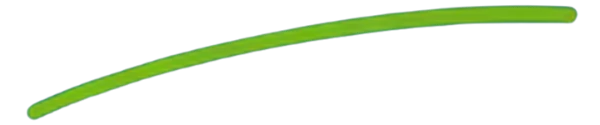 Fido Health fido swoosh
